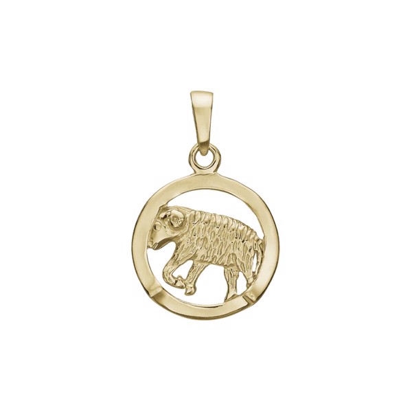 Aagaard 8 kt gold zodiac pendant with all zodiac signs