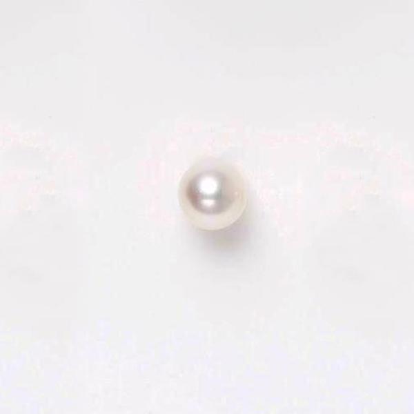 8 carat gold studs with cultured pearls, 5-5,5 mm