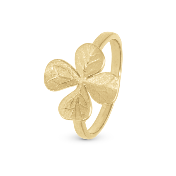 Four Leaf Clover Matteret og detaljeret firkløver ring i 925 forgyldt sølv fra Christina Jewelry i forgyldt sølv 