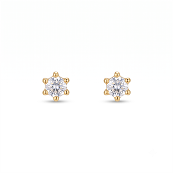 Guld & Sølv design Örhänge, model 5531-08-RG