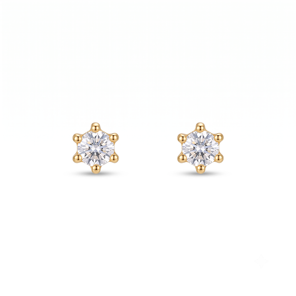 Guld & Sølv design Örhänge, model 5531-08-RG