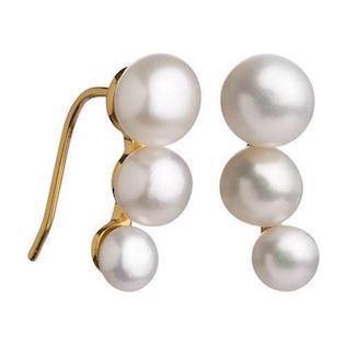 Lieblings Gold-plated silver with freshwater pearls Earrings shiny, model PEARLS-E3-FG