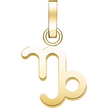 Köp Rosefield model PE-Gold-Capricorn-S her på din klockorn och smycken shop