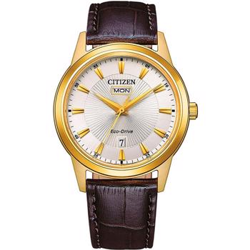 Model AW0102-13A Citizen Classic Eco drive  Herreur