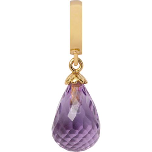 610-G01Amethystp , Christina Collect Charm