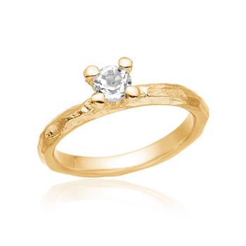 Smuk klassisk ring med kant, från Blicher Fuglsang