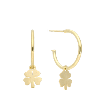 Halvcreol Clover, från Aagaard