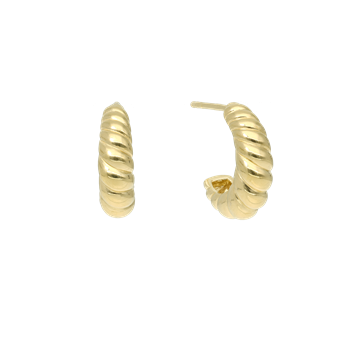 Halvcreol konkylie, från Aagaard