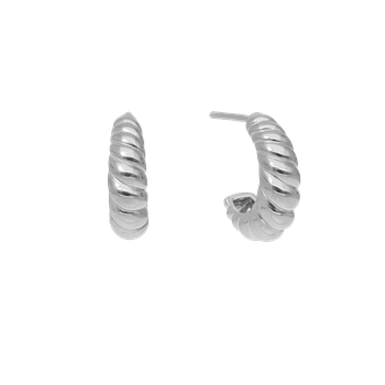 Halvcreol konkylie, från Aagaard