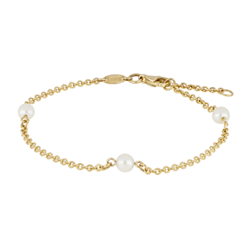 8kt. ankelkæde m. fvkp, från Siersbøl